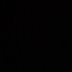 Meet your Posher, Ellie